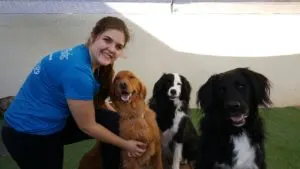 Happy Pets Palace team member kneeling with a golden retriever, border collie, and black long-haired dog outdoors