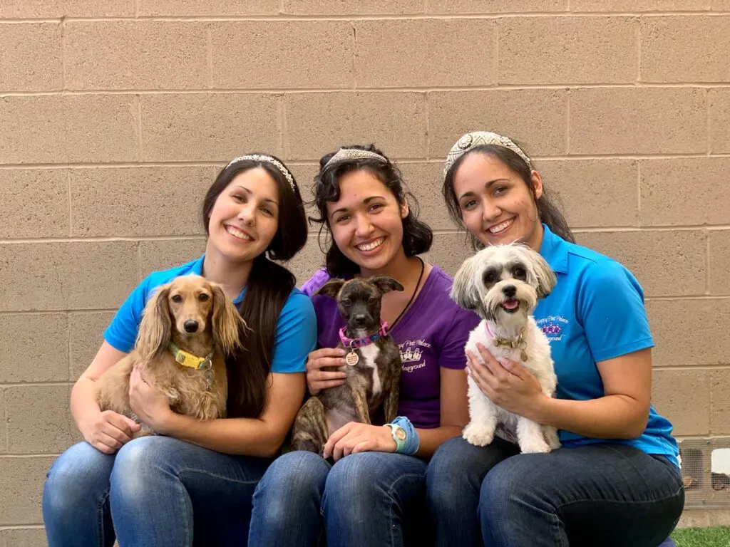 Happy Pets Palace Tiara Sisters