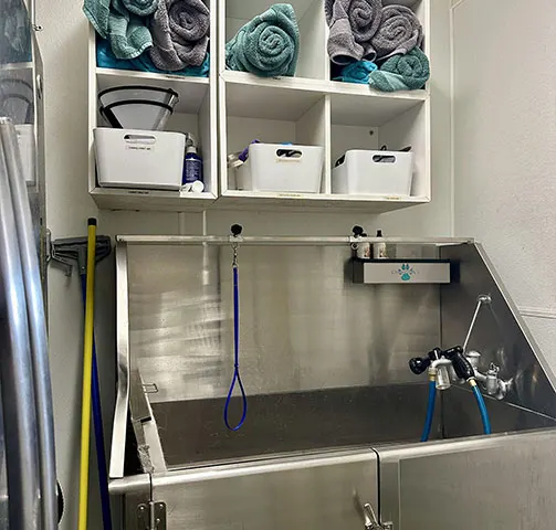 Stainless steel dog grooming tub with shelves of towels and grooming supplies at Happy Pets Palace