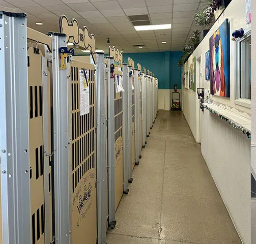 Row of wire boarding kennels along a hallway lined with colorful dog artwork