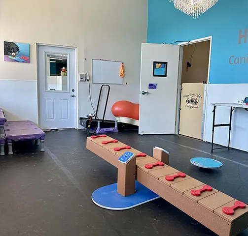 Indoor training room with a balance beam, seesaw and exercise equipment for dogs
