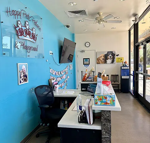 Front desk area with the Happy Pets Palace & Playground logo on a teal accent wall