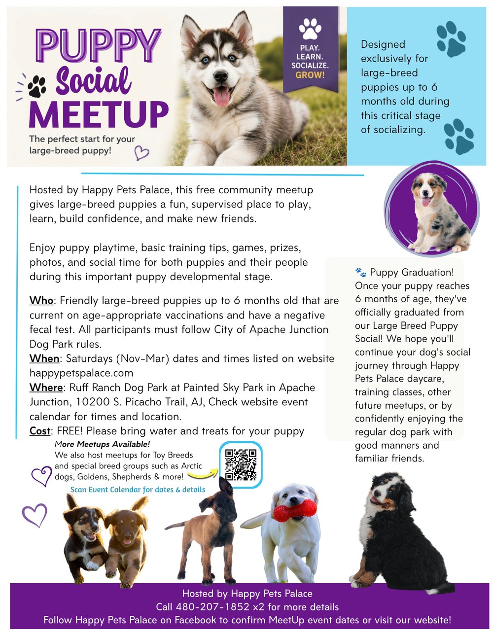 Puppy Social Meetup flyer for large-breed puppies listing vaccination requirements, Saturday dates and the Apache Junction location