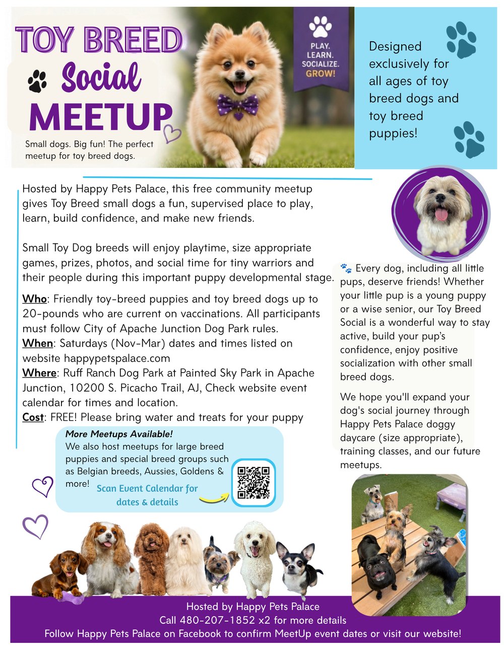 Toy Breed Social Meetup flyer listing who can attend, Saturday dates, the Apache Junction location and the free cost